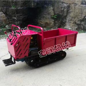 小型農(nóng)用自卸翻斗車(chē)